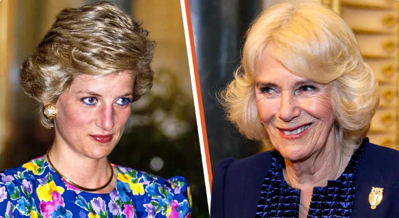 Queen Camilla Stuns in Head-to-Toe Pink Attire Just like Princess Diana Did: Fans Split over Who Wore It Better