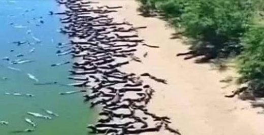 Top 10 Most Dangerous Beaches in the World