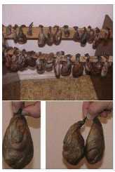 YOU COULD HAVE SWALLOWED THIS BEAVER SAC EXCREMENT WITHOUT REALIZING