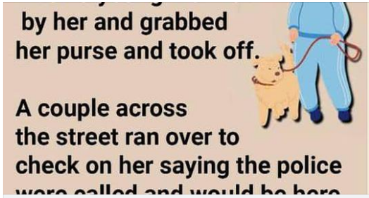 An Old Woman Was Walking Her Dog 