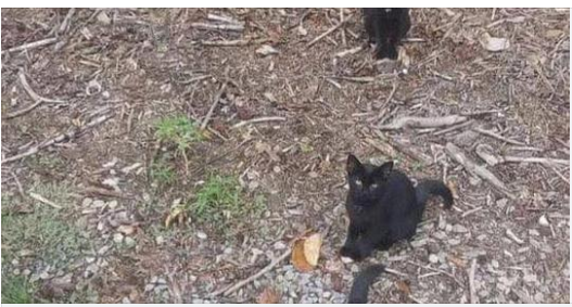 For those who haven’t seen it yet, take a look