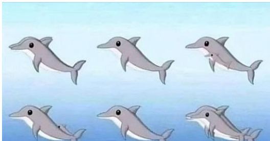 Engaging Your Mind with Optical Illusions and Brain Teasers – News for health and chef