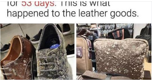 19 Unusual Answers To The Question: “What Would Happen If…”