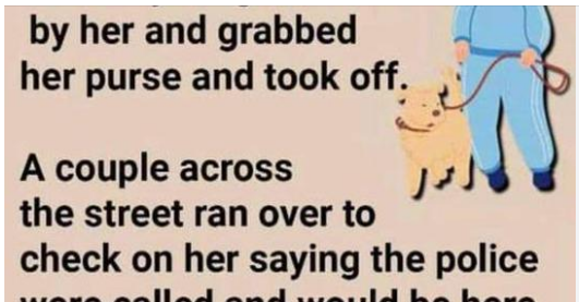 Elderly woman was out strolling her dog