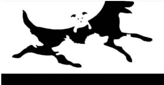 Importance of Eye Tests for Individuals 45-65 Years Old