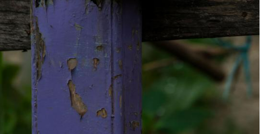 If you see a purple fence post, you need to know what it means