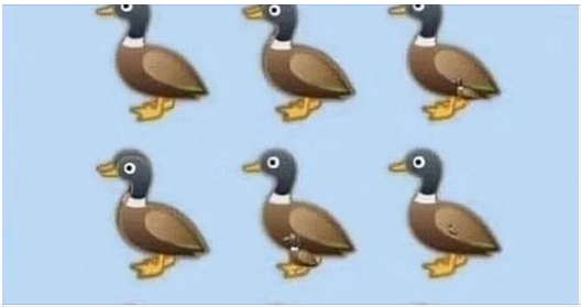 Can You Find All the Ducks? 