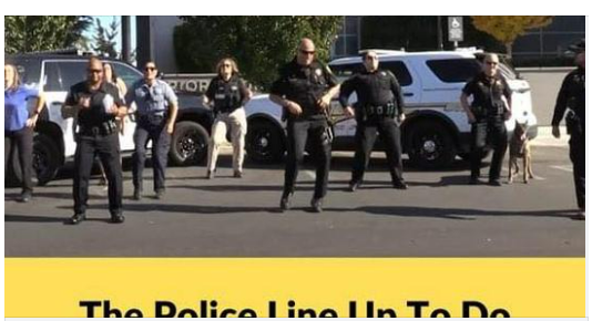 It Was A Simple Police Lineup Until The Dog Stole The Show
