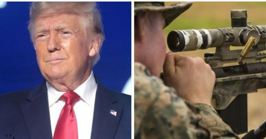 The Reckless Runaway: A Journey of Regret and Redemption 