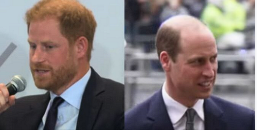 Prince Harry Preparing To Receive Big Inheritance And Not Everybody Is Happy