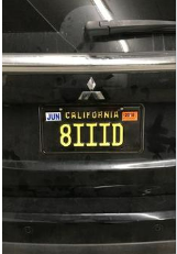 Viral License Plate: A Nevada Phenomenon! 