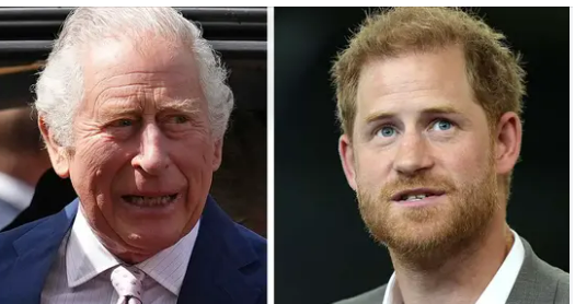 The relationship between Prince Harry and King Charles in a ‘dreadful’ state due to a painful reason