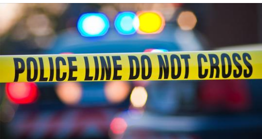 Missing 6-year-old boy found shot dead alongside father inside isolated camper