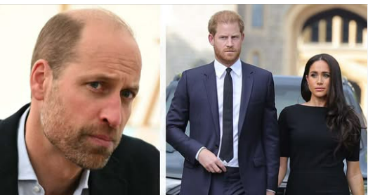 Prince William was “concerned” about Harry dating Meghan