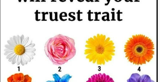 The Flower You Pick Will Reveal Your Truest Trait