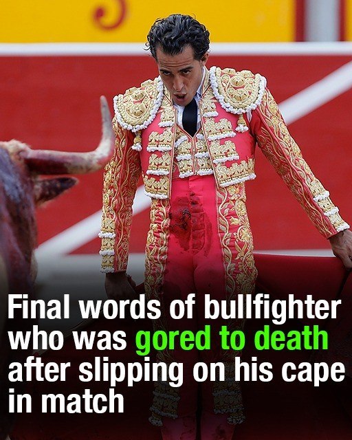 “Final Moments: What the Bullfighter Said Before Death”