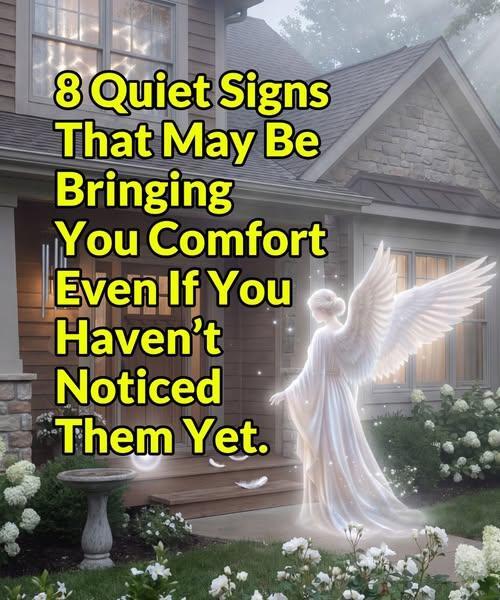 8 Gentle Signs That Can Offer Comfort and Reassurance