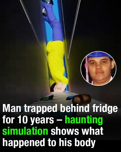Man trapped behind fridge for 10 years – haunting simulation shows what happened to his body