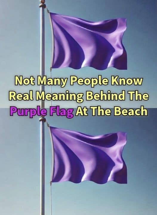 Why You Might See a Purple Flag Flying at the Beach