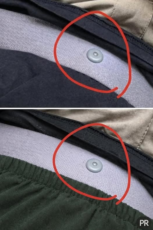 The Hidden Hero of Your Seat Belt: What Is That Little Round Button — And Why It’s Essential
