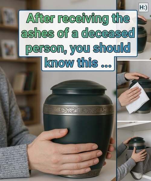 Keeping Ashes at Home: What You Should Know Before Deciding