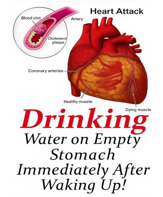 Benefits of drinking water on an empty stomach can play an important role in supporting overall health and daily energy. Starting the day with a glass of water helps rehydrate the body after hours of sleep and can support digestion, metabolism, and circulation. This simple morning habit may also help flush out toxins, improve focus, and prepare the body for the day ahead.