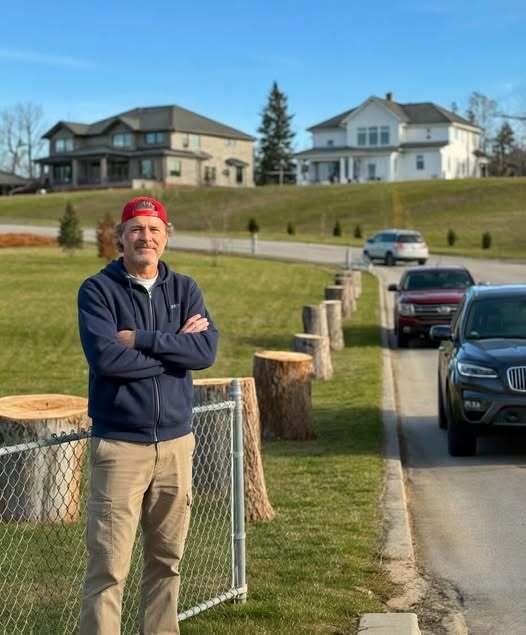 They Cut Down Trees That Had Stood on My Family’s Land for Forty Years Just to Improve Their View