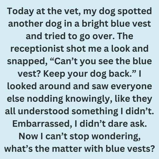 Decoding the Meaning Behind a Dog Wearing Blue Gear: Understanding Service Roles