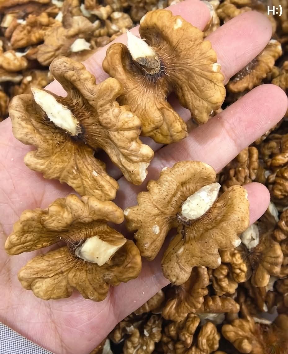 Doctors reveal that eating walnuts causes