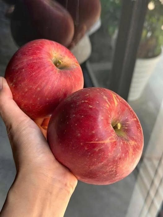 Doctors Reveal That Eating Apples Regularly Can Transform Your Health: From Sharper Digestion and Lower Cholesterol to Better Heart, Gut, and Immune Function — Discover What Happens if You Make Apples a Daily Habit
