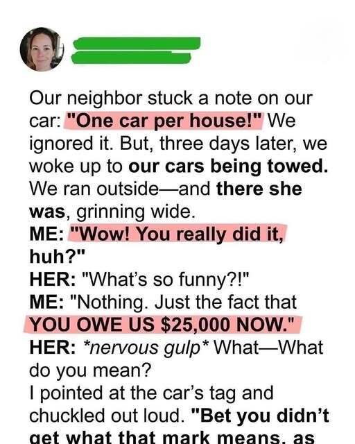 Our Overly Friendly Neighbor Reported Us and Had Both Our Cars Towed Over a Petty HOA Rule, Smiling Like She’d Won—Until We Revealed the Small Government Stickers on Our Windows, Turning Her Triumph Into Shock and Proving That Karma Sometimes Arrives Right on Schedule