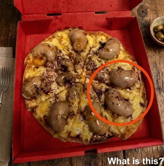 My Pizza Looked Strange When It Arrived — The Surface Was Covered in Odd Bubbles That Made Me Pause and Question Everything