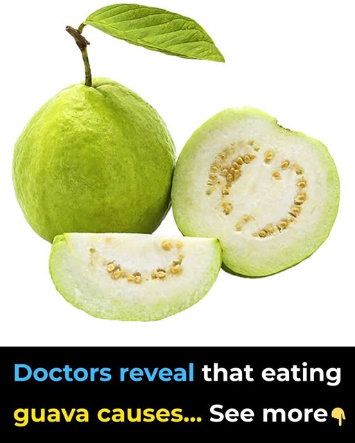 Doctors reveal that guava leaf tea causes…