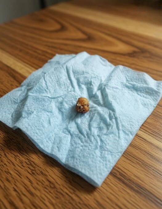 After a Terrifying Discovery During an Ordinary Shower Left a Couple Convinced Something Horrific Was Living in Her Hair, Endless Googling, Growing Panic, and a Tiny Crushed Parasite Eventually Revealed the Disturbing Truth About the Creature Hidden on Her Scalp and the Creeping Fear That Sometimes the Most Frightening Things Go Completely Unnoticed Until It’s Almost Too Late Forever