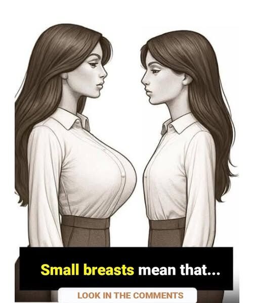 If a Woman Has Small Breasts, Does It Really Mean Anything About Her Personality or Body? Experts Break Down Common Myths, Social Stereotypes, Biological Facts, and Misconceptions, Revealing Why Body Features Do Not Define Character, Confidence, Health, or Worth, Challenging Outdated Beliefs and Encouraging a More Realistic, Respectful Understanding of Natural Human Diversity and individual differences