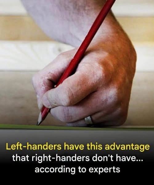 The Fascinating Science Behind Left-Handedness