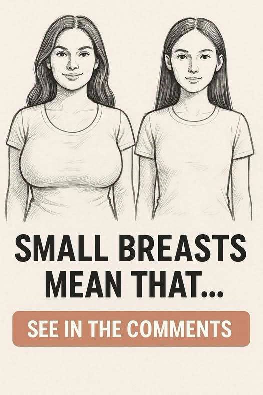 If a Woman Has Small Breasts, Does It Really Mean Anything About Her Personality or Body? Experts Break Down Common Myths, Social Stereotypes, Biological Facts, and Misconceptions, Revealing Why Body Features Do Not Define Character, Confidence, Health, or Worth, Challenging Outdated Beliefs and Encouraging a More Realistic, Respectful Understanding of Natural Human Diversity and individual differences