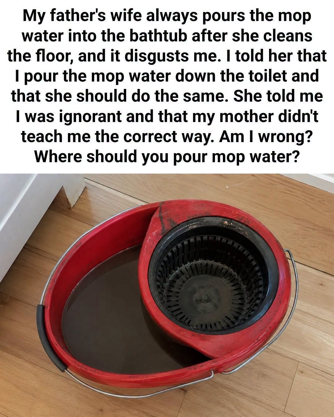 Where to Dispose of Dirty Mop Water: Toilet or Bathtub?