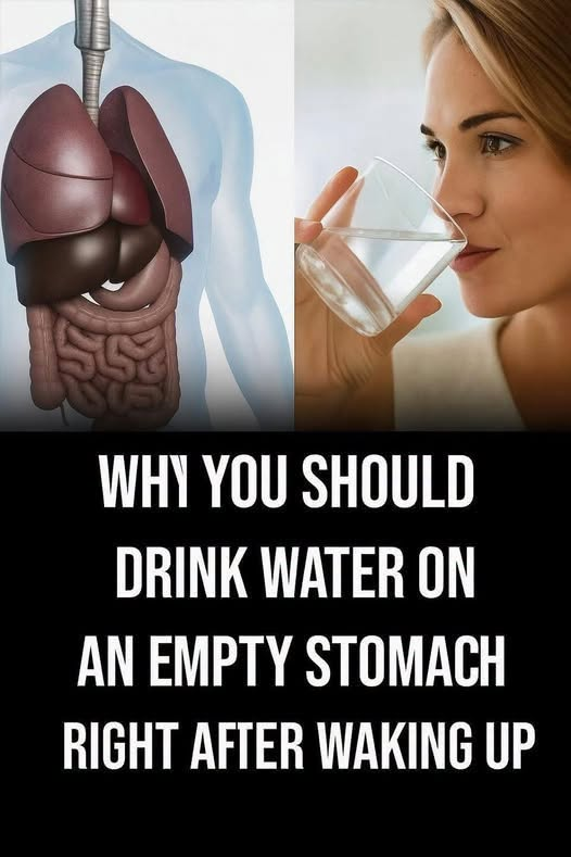 Benefits of drinking water on an empty stomach can play an important role in supporting overall health and daily energy. Starting the day with a glass of water helps rehydrate the body after hours of sleep and can support digestion, metabolism, and circulation. This simple morning habit may also help flush out toxins, improve focus, and prepare the body for the day ahead. 
