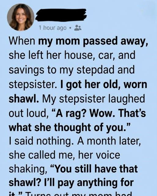 They Mocked My Old Shawl Until They Learned Its Hidden Secret