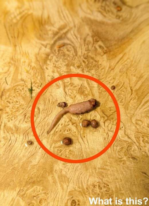 Something Unexpected Appeared in My Ground Beef While Cooking
