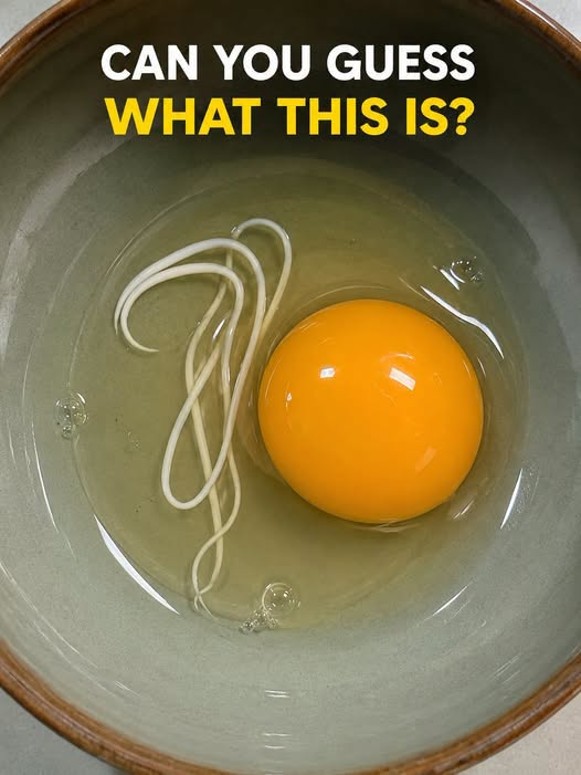 This morning, I woke up and decided to make fried eggs.