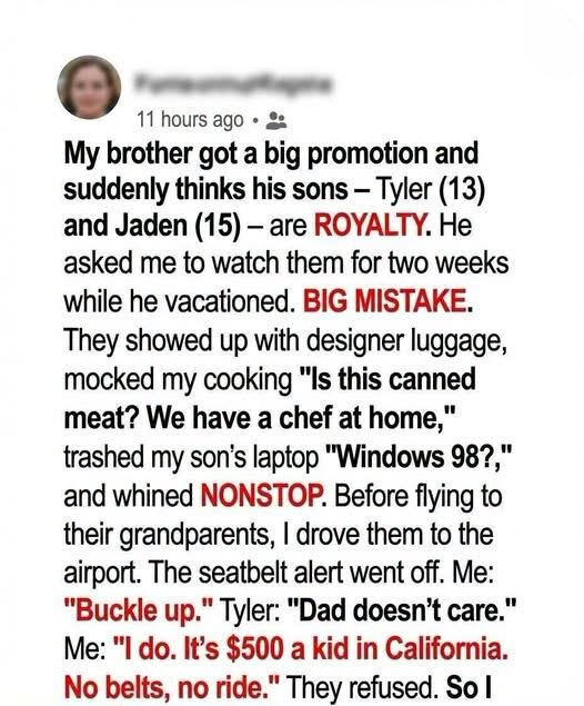 Brother’s Spoiled Sons Mocked My Home and Son – Their Tantrum Backfired