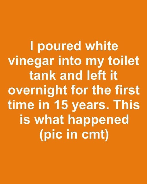 I poured white vinegar into my toilet tank and left it overnight for the first time in 15 years. This is what happened