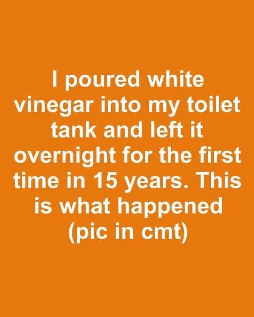 I poured white vinegar into my toilet tank and left it overnight for the first time in 15 years. This is what happened