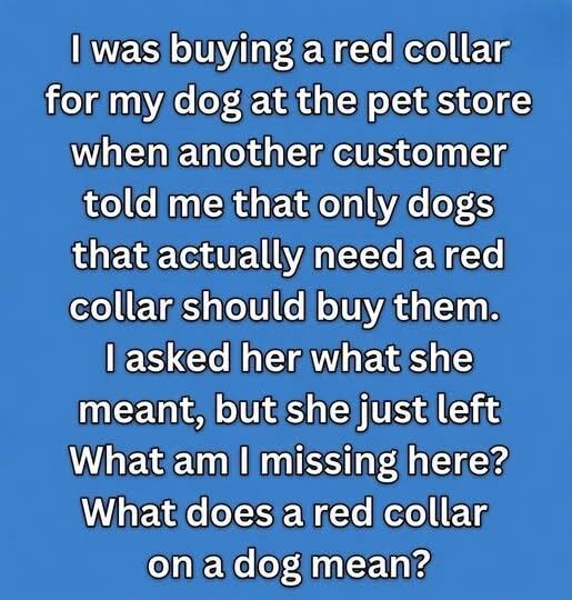 The Mystery Of The Red Collar And The Secret It Unveiled