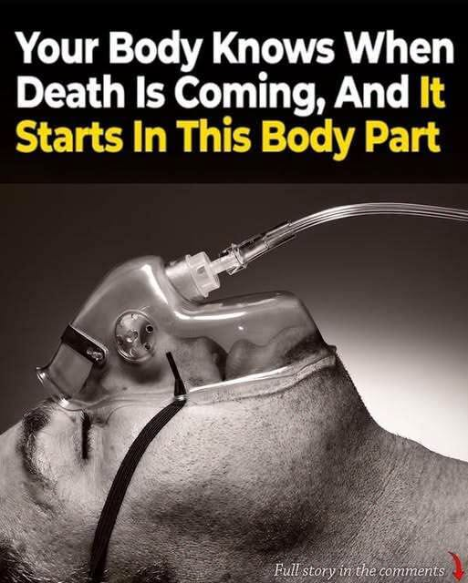 A Study Reveals: Your Body Knows When Death Is Near, And It All Begins In The Nose