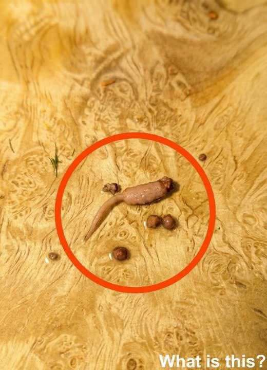 THE DINNER TABLE NIGHTMARE: I Was Cooking Ground Beef for My Kids When I Spotted Something That Nearly Stopped My Heart