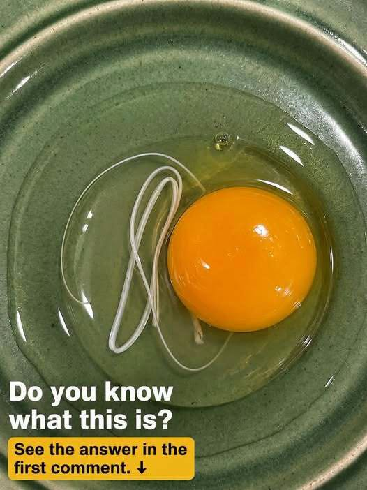 This morning, I woke up and decided to make fried eggs.