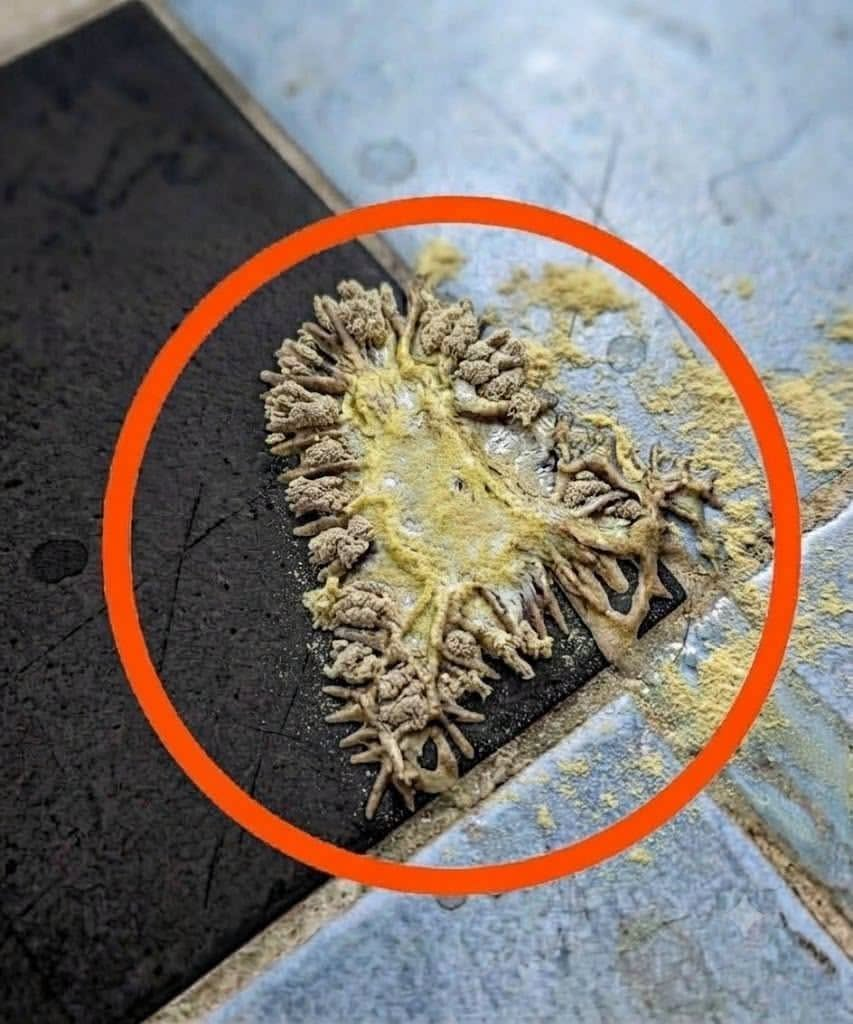 The Strange Bathroom Mystery: Common Signs You Shouldn’t Ignore